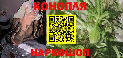 шишки Краснознаменск