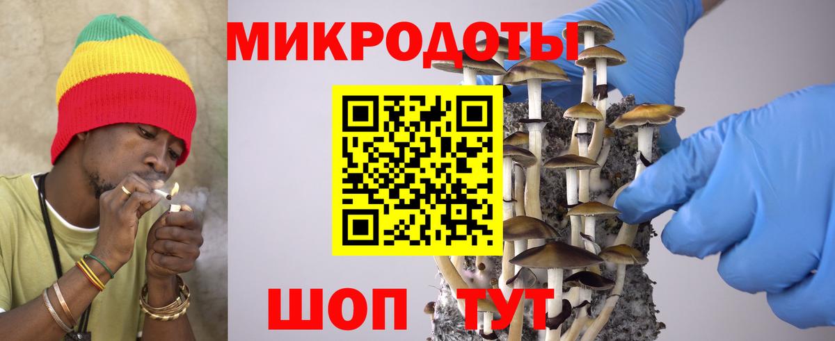 Галлюциногенные грибы Magic Shrooms  Псилоцибиновые грибы GOLDEN TEACHER  Дубна  Вход с VPN 